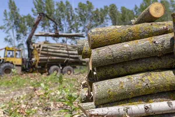 Högen av trä stockar med timmer lastare i bakgrunden-Lumber industrin — Stockfoto