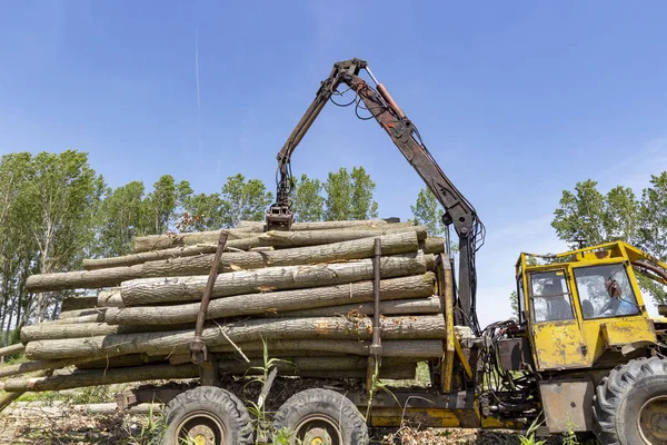 Timmerkran med timmer trailer i aktion — Stockfoto