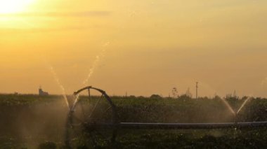 Gün Batımında Çiftlik Tarla Sulama Sistemi Sulama Tesisleri. Sun ile Portakal Gökyüzüne Karşı Sulama Tarım Alanı. Tarımsal Sulama Sistemi Sulama Biber Tarlası.