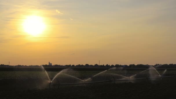 Campi Agricoli Irrigati Tramonto Farm Field Irrigation System Irrigazione Impianti — Video Stock