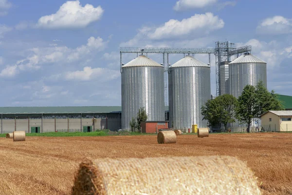 Papeleras de granos agrícolas en un campo agrícola —  Fotos de Stock