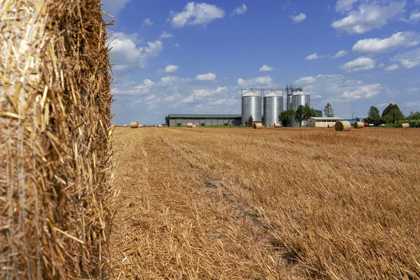 Caixas de grãos agrícolas em um campo de fazenda após a colheita — Fotografia de Stock