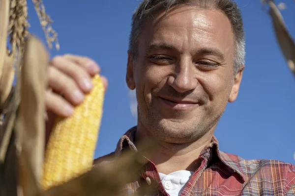 Retrato de agricultor feliz con mazorca de maíz madura en el campo de maíz — Foto de Stock