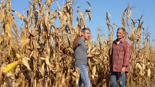 Dois Agricultores Tirando Foto Selfie Com Telefone Celular Cornfield Agricultores — Vídeo de Stock