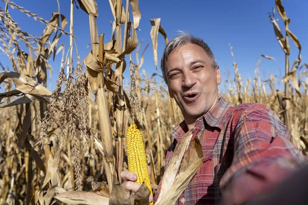 Excited Farmer Taking Selfie Portrait with Ripe Corncob on Corn Field