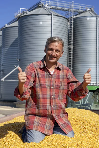 Agricultor bem sucedido sentado em reboque cheio de sementes de milho e dando polegares na frente de grãos de fazenda Bins — Fotografia de Stock