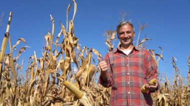 Gülümseyen Çiftçi Cornfield 'da dikiliyor, Kameraya bakıyor ve Yavaş Çekimde Başparmağını kaldırıyor. Olgun çiftçi mısır hasadının kalitesinden memnun..