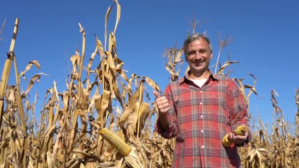 Uśmiechnięty Farmer Stojący Cornfield Patrzący Kamerę Rezygnujący Kciuka Slow Motion — Wideo stockowe