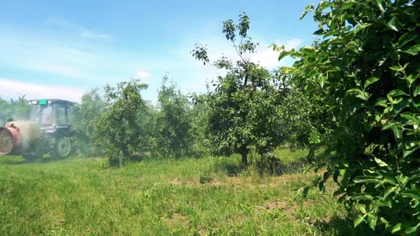 Tractor Sprays Insecticide Fungicide Apple Orchard Slow Motion Video Farmer — Vídeo de Stock