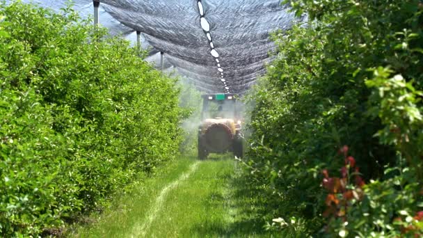 Slow Motion Video Tractor Spraying Orchard Springtime Фермер Водит Трактор — стоковое видео