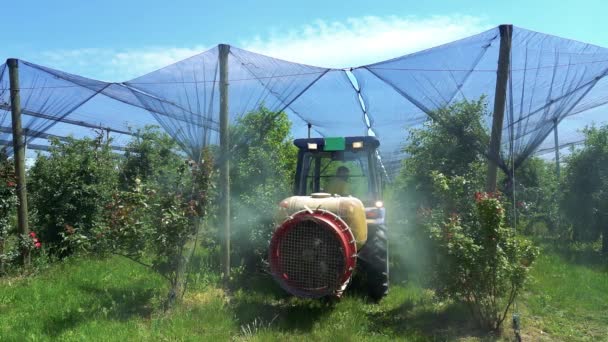 Τρακτέρ Ψεκάζει Apple Orchard Καλύπτονται Hail Protection Nets Αργή Κίνηση — Αρχείο Βίντεο