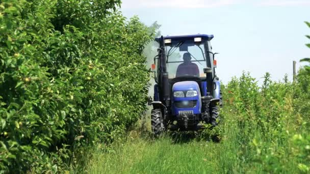 拖拉机上的农民在苹果园里喷洒杀虫剂的果树 拖拉机安装了果园喷雾器 通过喷洒喷嘴在树梢上喷洒农药化学品 拖拉机驶过苹果园 — 图库视频影像