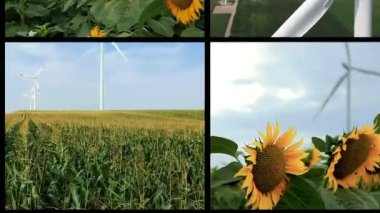 Rüzgar Parkı Kavramsal Video Duvarında Rüzgar Türbinleri - Yenilenebilir Enerji. Şiddetli rüzgarlarda dönen dev rüzgar türbininin hava görüntüsü. Kırsal kesimde Rüzgar Türbinleri Elektrik Oluşturuyor.