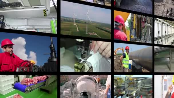 Videófal Montázs Ipari Termelés Collage Video Clips Megmutatja Különböző Foglalkozásúak — Stock videók