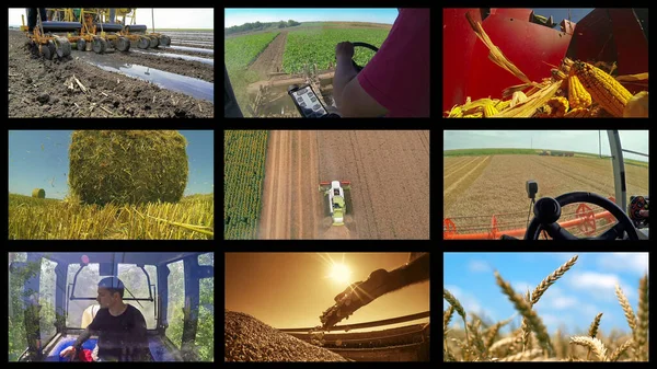 Crop Production Photo Collage. Agricultural Media Photo Wall. Collage of Photographs Showing Farmers at Various Seasonal Agricultural Work in a Field. Harvest Time.