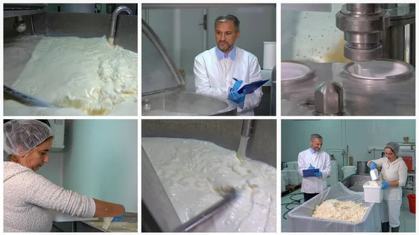 Dairy Product Manufacturing - Dairy Processing Plant Photo Collage. Food Engineer Writing on Clipboard. Milk Pasteurization in Dairy Processing Plant. Man and Woman Working in Cheese Factory.