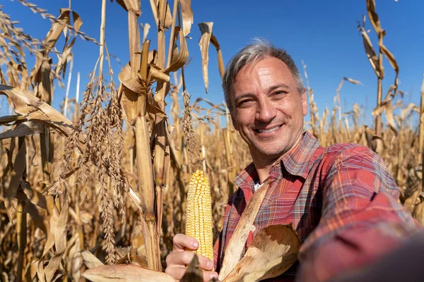 Fazendeiro Feliz Com Corncob Tirando Selfie Retrato Campo Milho Fazendeiro — Fotografia de Stock