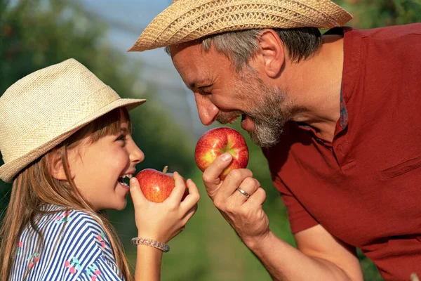 Father Daughter Eating Apples Sunny Orchard Healthy Food Concept Family — Stock Photo, Image