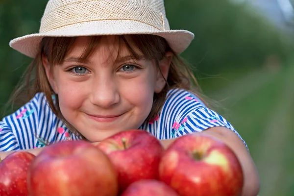 Little Blue Eyed Girl Basket Red Apples Orchard Smiling Little — Stock Photo, Image