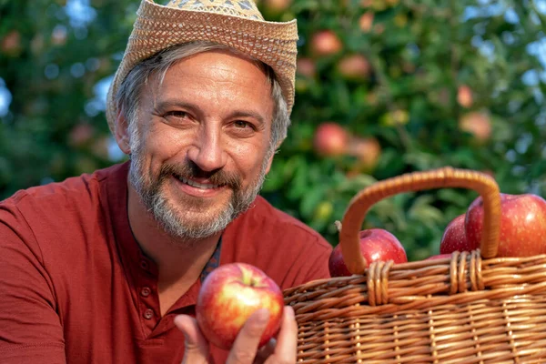 Granjero Carismático Con Sombrero Sosteniendo Manzana Roja Sunny Orchard Granjero — Foto de Stock
