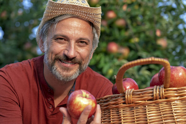 Charismatic Farmer with Hat Holding Red Apple in Sunny Orchard. Happy Farmer With A Basket of Appetizing Red Apples Looking at Camera. Healthy Food Concept. Farmer Picking Apples in an Orchard.