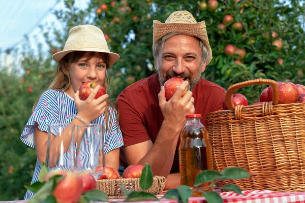 Mała Dziewczynka Jej Ojciec Koszykiem Apetycznych Czerwonych Jabłek Soku Jabłkowego — Zdjęcie stockowe
