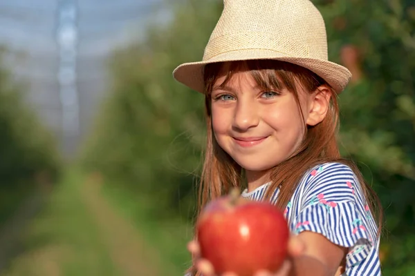 Beautiful Little Girl Giving Red Apple Sunny Orchard Portrait Smiling — Stock Photo, Image