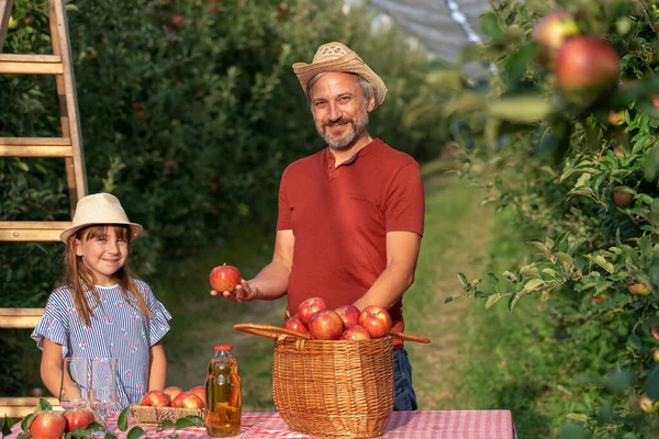 Farmer Jego Mała Córeczka Koszem Apetycznych Czerwonych Jabłek Sokiem Jabłkowym — Zdjęcie stockowe