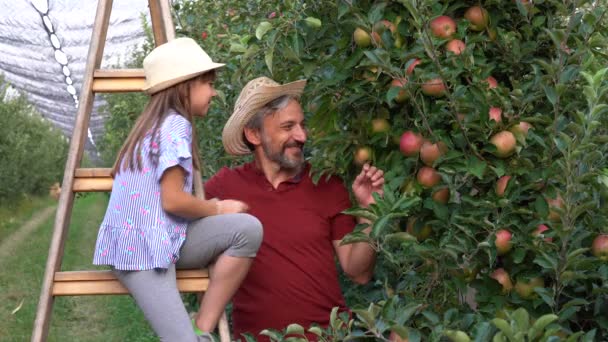 Agricoltore Sua Piccola Figlia Orchard Ladder Guardando Fotocamera Piccola Ragazza — Video Stock