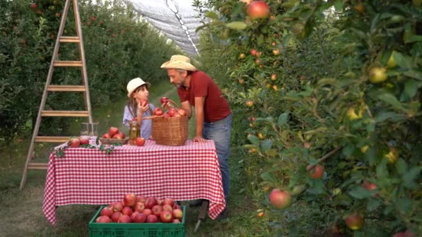 在阳光园中 农夫和他的女儿们提着一篮子盛放红苹果和苹果汁的食物在桌上 小女孩和她的父亲吃苹果 健康食品概念 家庭采摘水果 — 图库视频影像