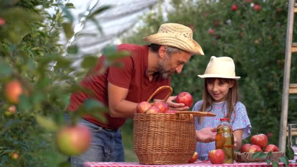 父亲教他的小女儿关于有机苹果汁的制作过程 桑尼果园的农民和女儿们 一篮一篮的红苹果和苹果汁放在桌上 — 图库视频影像