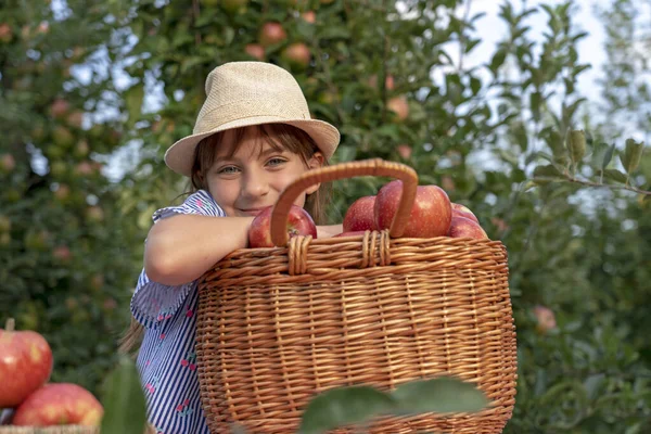 Little Girl Orchard Ladder Her Father Looking Camera Healthy Food — Stock Photo, Image