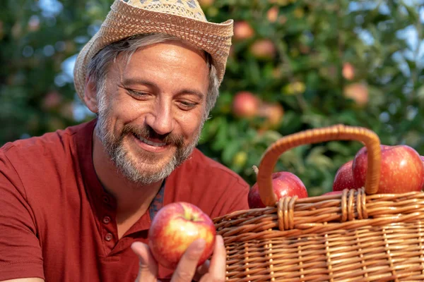 Retrato Granjero Sombrero Paja Con Una Cesta Manzanas Rojas Apetitosas — Foto de Stock