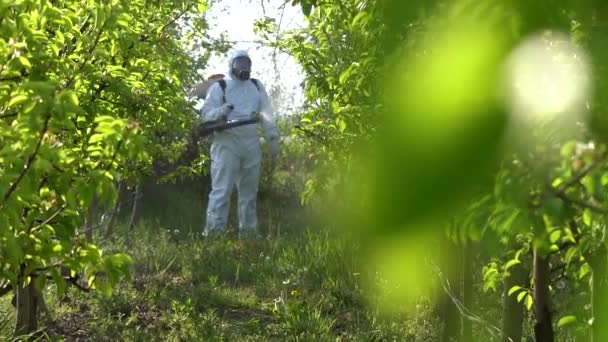 Orchard Spraying Farmer Spraying Orchard Chemicals Springtime Pěstitel Ovoce Kombinézách — Stock video