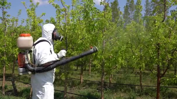 Człowiek Pokrywach Maską Gazową Sad Natryskowy Plecakiem Rozpylacz Plecak Rolnik — Wideo stockowe