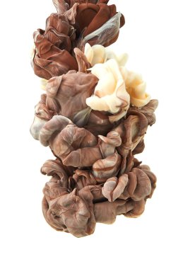 Suda mürekkep. Splash boya karıştırma. Çok renkli sıvı boya. Abst