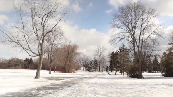 風が吹いて雪の美しい寒さと凍結の冬の風景 — ストック動画