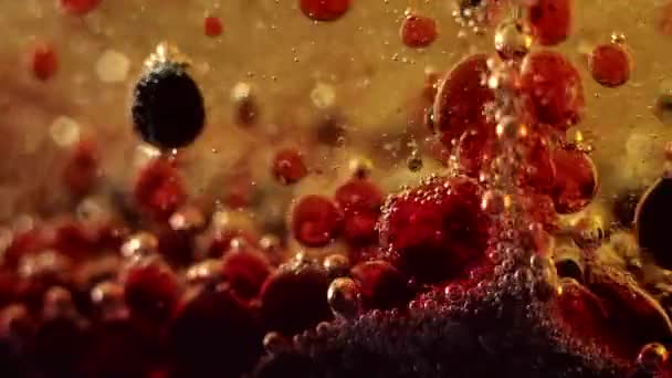 Bulles Liquide Abstrait Coloré — Video