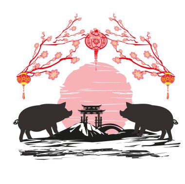 Çince Zodyak domuz yılı