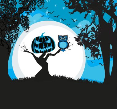 Korkuluk Cadılar Bayramı ve büyüleyici bir baykuş