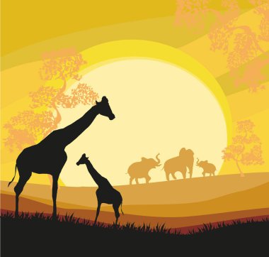 Çizgi film Afrika savana kartı Poster