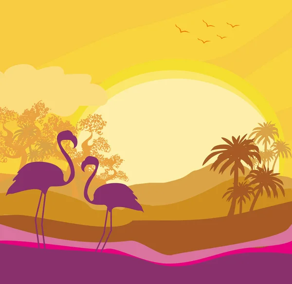 Flamingo couple in wild nature landscape — Stock Vector