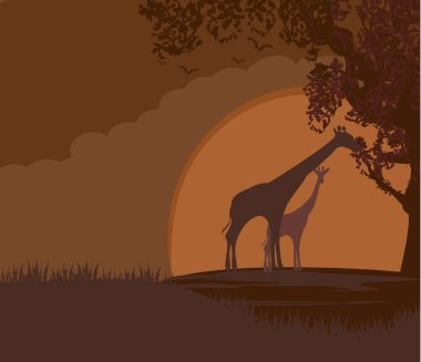 Vahşi zürafalar ile Afrika manzara