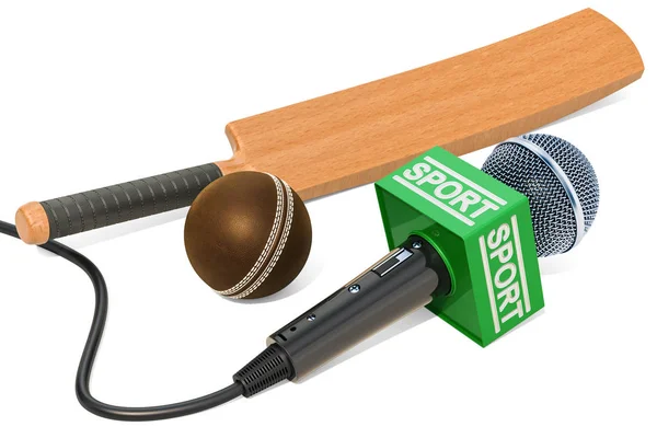 Concetto Cricket News Microfono Sport News Con Palla Cricket Pipistrello — Foto Stock