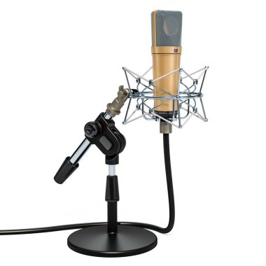 Stüdyo mikrofon ile şok-mount masa üstü kutusunda. 3D render