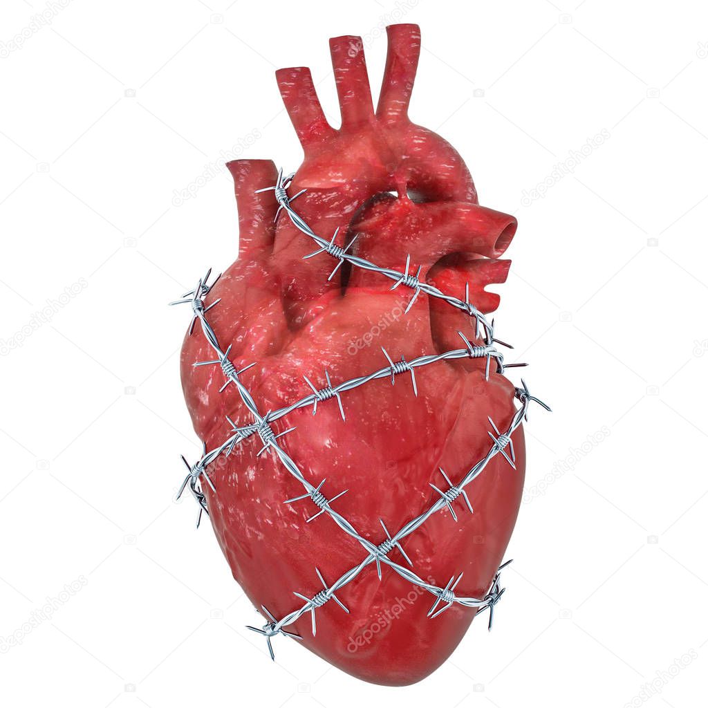 Heart Pain concept. Human heart with barbed wire. 3D rendering isolated on white background