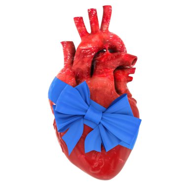 İnsan kalbi şerit ve yayla. Beyaz arka plan üzerinde izole 3d render