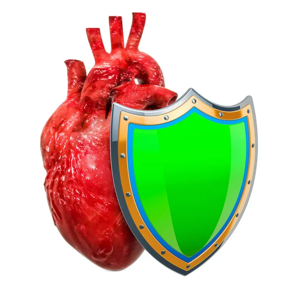 Coração Humano Com Escudo Conceito Seguro Saúde Renderização Isolada Fundo — Fotografia de Stock