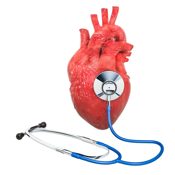 Corazón Humano Con Estetoscopio Diagnóstico Tratamiento Del Concepto Corazón Renderizado — Foto de Stock