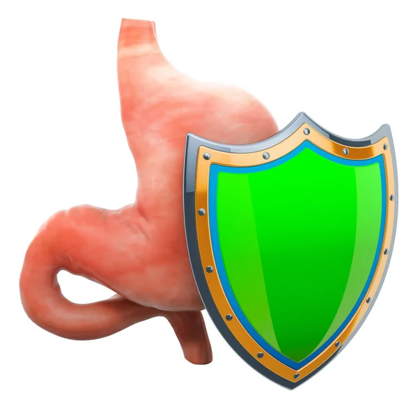 Estómago Humano Con Escudo Estómago Protege Concepto Representación Aislada Sobre — Foto de Stock